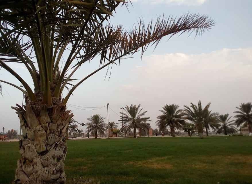 حديقة الرفيعة في بريدة Al Rafi'ah Park Buraydah