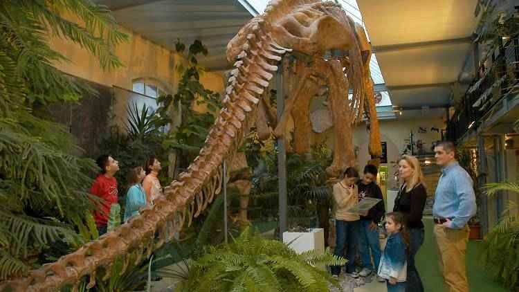 متحف الديناصورات - Aathal Dinosaur Museum