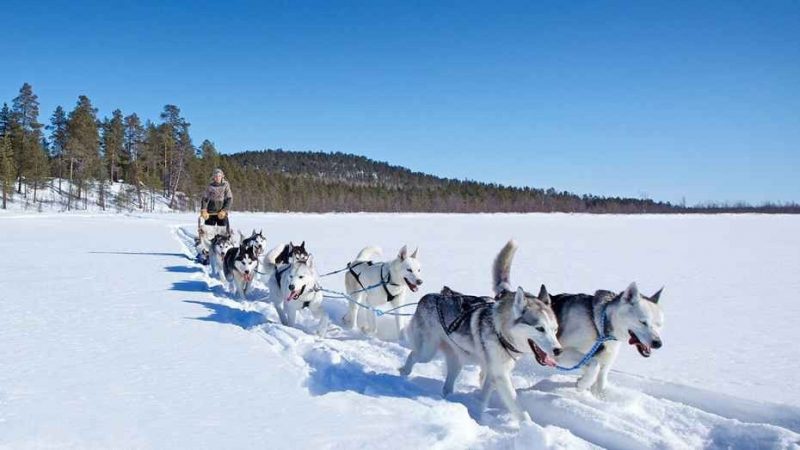 الأنشطة السياحية في فنلندا :  أجمل 10 نشاطات رائعة