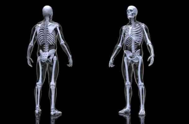 معلومات غريبة عن الهيكل العظمي