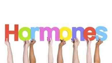معلومات غريبة عن الهرمونات .. عجائب عن الهرمونات داخل جسم الإنسان