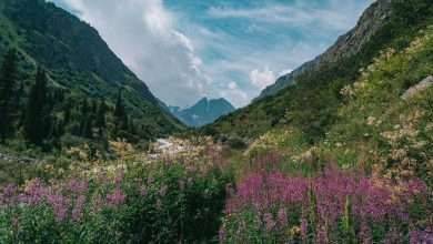الطبيعة في قرغيزستان