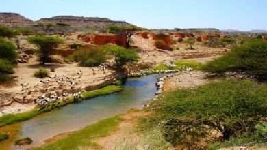 الطبيعة في الصومال وحالة الطقس والتربة والمظاهر الطبيعية بها
