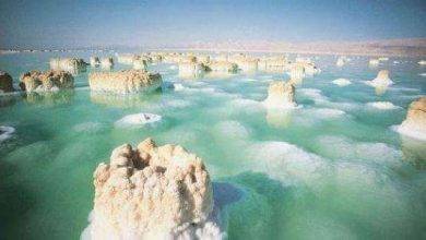 معلومات للاطفال عن البحر الميت .. تعرف عليها ..