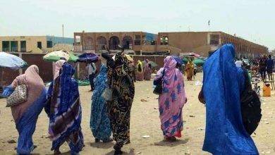 أهم المعلومات عن دولة موريتانيا