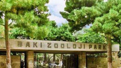 حديقة الحيوانات في باكو&#8230; معلومات عن أوّل حديقة حيوانات في باكو