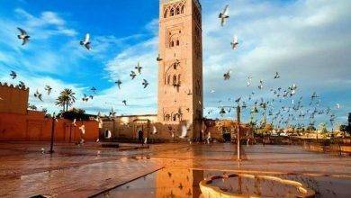 معلومات عن مدينة مراكش المغرب