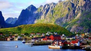 أشهر منتجات النرويج .. تعرف على أشهر المنتجات النرويجية التي يمكن شرائها عند زيارتك لها