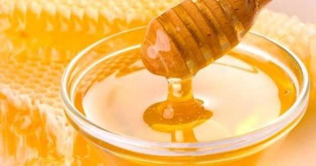 دراسة مصيري طوف  معلومات للاطفال عن العسل .. تعرف معنا على أهم المعلومات حول العسل - موقع  معلومات