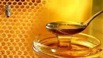 معلومات للاطفال عن العسل .. تعرف معنا على أهم المعلومات حول العسل