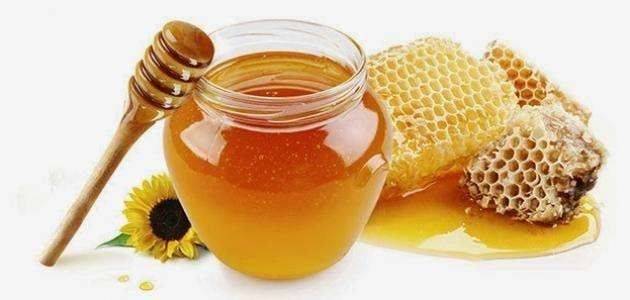 فوائد العسل .. معلومات للاطفال عن العسل
