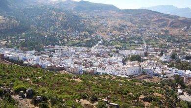 معلومات عن مدينة تازة المغرب وتاريخها وأهم الأنشطة التي يمكن القيام بها هناك