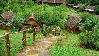الحياة الريفية في تايلند .. تعرف علي مظاهر الحياة المختلفة في الريف التايلندي