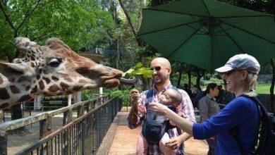 حديقة الحيوان في كوانزو&#8230;دليل سياحي عن حديقة الحيوان في كوانزو