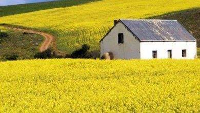 الحياة الريفية في جنوب افريقيا&#8230;وصف الريف الجنوب أفريقي ومظاهر العيش هناك