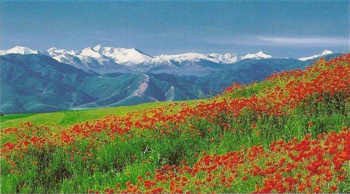 الرّبيع في كازاخستان