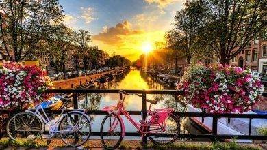 السياحة في هولندا شهر اغسطس ..وأبرز المعالم السياحية فى هولندا خلال فصل الصيف..