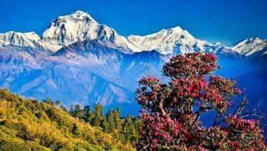 السياحة في نيبال 2019