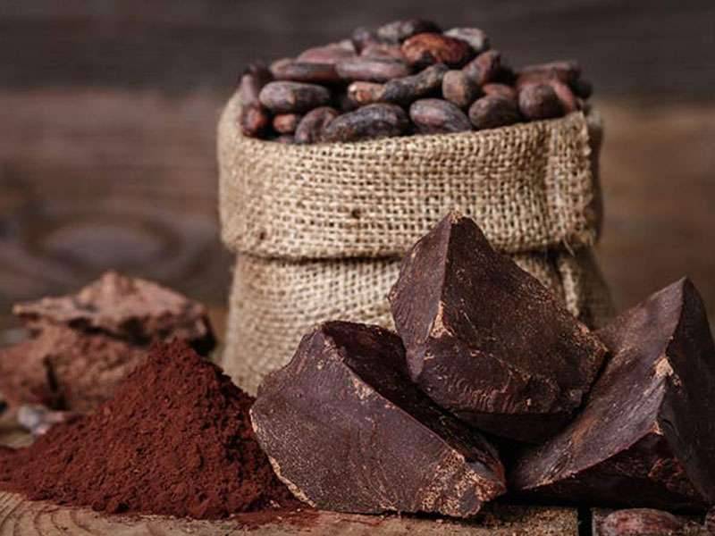 ما هو الكاكاو؟ فوائد الكاكاو للبشرة وللشعر