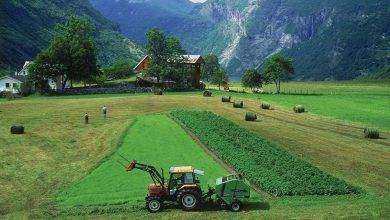 بماذا تشتهر النرويج في الزراعة
