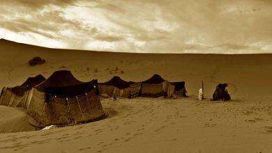 تاريخ الامارات قبل الميلاد&#8230; أبرز المعلومات عن الفترات التّاريخيّة القديمة في الإمارات
