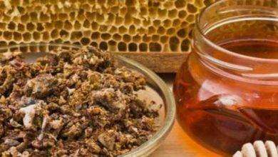 فوائد العكبر مع العسل