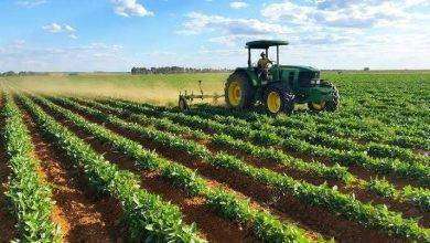 بماذا تشتهر جنوب أفريقيا في الزراعة
