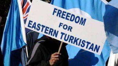 معلومات عن تركستان الشرقية