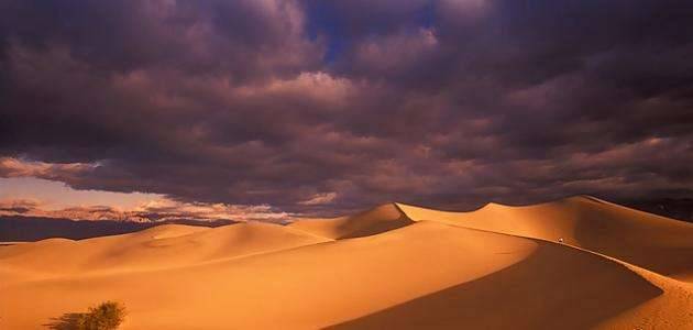 التطور البيئي في صحراء ثار
