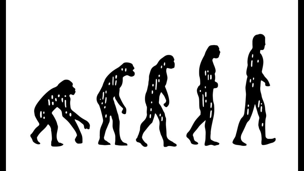 ما هو مفهوم التطور