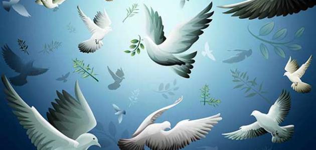 ما هو مفهوم السلام