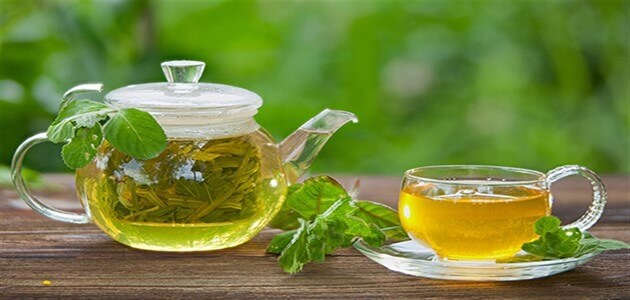 أفضل أنواع الشاي الأخضر لتخفيف الوزن&#8230; أشهر 6 أنواع من الشّاي الأخضر للتّنحيف