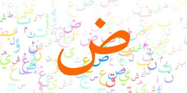 تعبير عن اللغة العربية بالعناصر الرئيسية