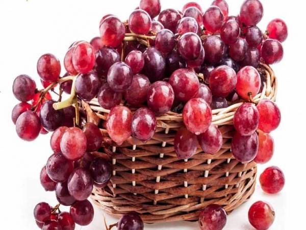 5 وصفات من العنب الأحمر تقوي المناعة