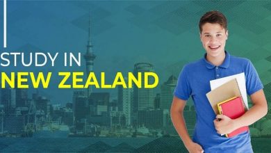 تجربتي في دراسة اللغة في نيوزلندا