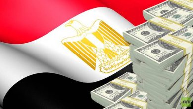 الناتج المحلي الإجمالي مصر 2020 بالدولار .تعرف على نصيب الفرد من الناتج المحلي