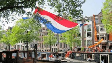 الناتج المحلي الإجمالي هولندا .احصائيات الناتج المحلي الهولندي خلال عام 2020