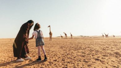 رحلة إلى منتزه نوفا للحياة البرية الرياض