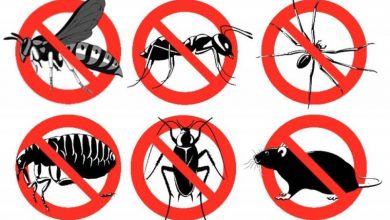 مكافحة الحشرات والافات دون استخدام المواد الكيميائية