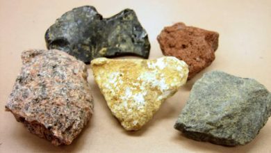 من اي المواد تتشكل الصخور السطحية