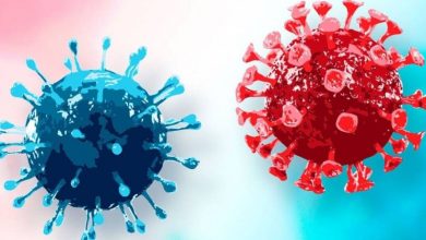 كيفية حماية الجسم من الفيروسات؟ 4 نصائح لتقوية المناعة