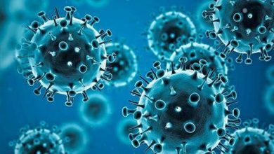 أنواع الفيروسات التي تسبب الأمراض