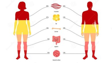 كمية الدم في جسم الإنسان