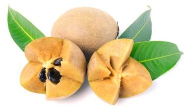 ما هي فاكهة السابوديلا