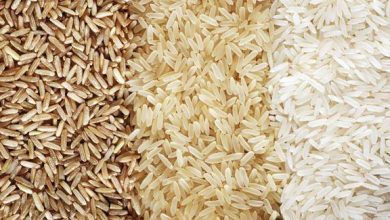 مقارنة بين الكينوا والأرز