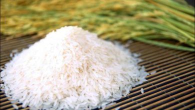 ما هو أرز الياسمين